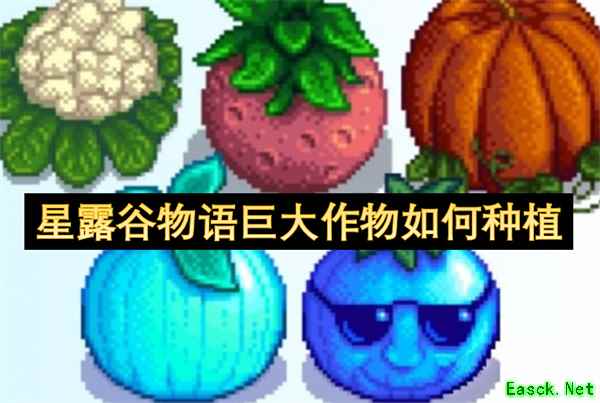 星露谷物语巨大作物怎么种