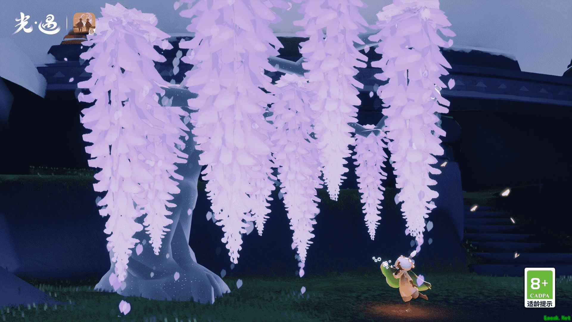 光遇花憩节烛火收集攻略 教你一招不用跑图快速获取蜡烛