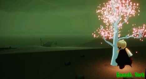 《光遇》墓土樱花树位置介绍