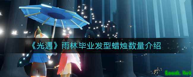 《光遇》雨林毕业发型蜡烛数量介绍