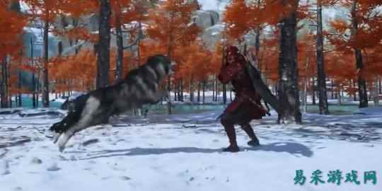 /news/2025/07-21/916117.shtml