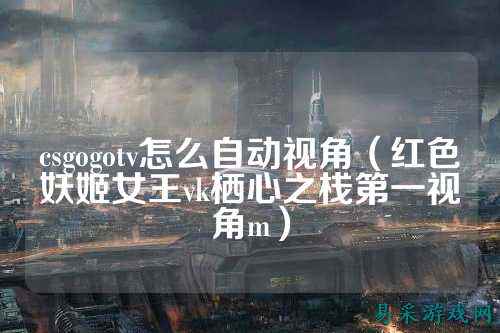 csgogotv怎么自动视角（红色妖姬女王vk栖心之栈第一视角m）