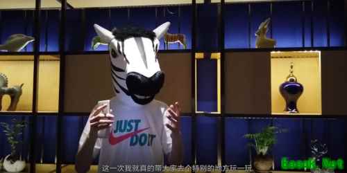 斑马乐园“施工现场”大揭秘 《我的起源》带你走进背后的故事
