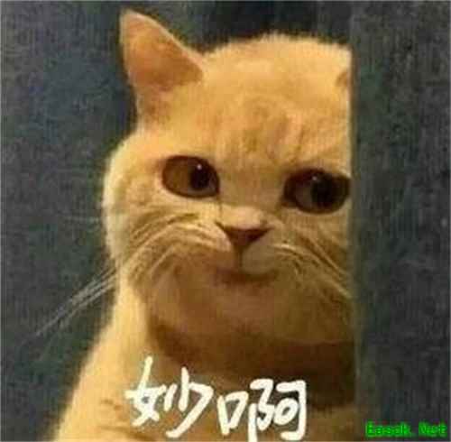 《星之轨迹》50万预约奖励公布！抱走提妲还送十回招募？！