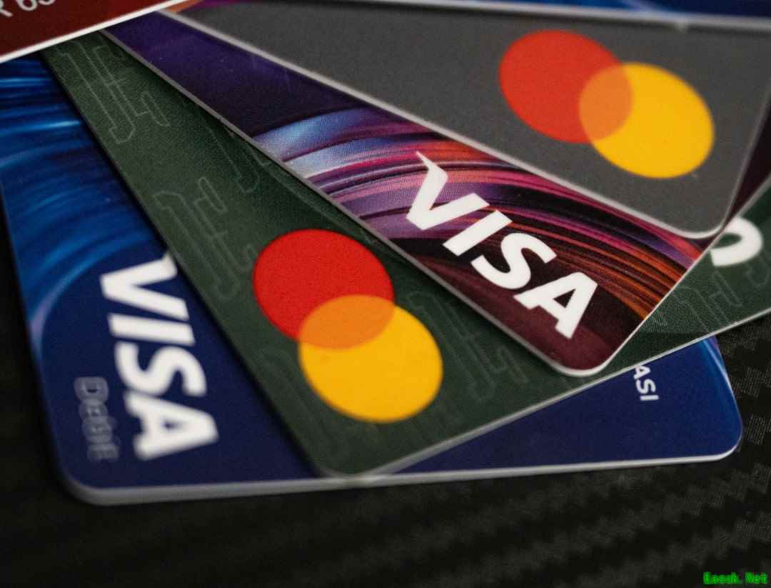 Visa、万事达被指施压游戏平台审查内容引发争议