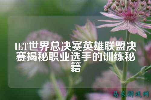 IET世界总决赛英雄联盟决赛揭秘职业选手的训练秘籍