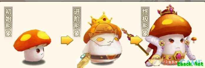 《大冒险家2》宠物介绍
