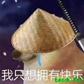 阴阳师2025萌新PVE首选式神推荐