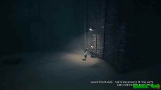 Tarsier工作室新作Reanimal实机演示发布，2026年登陆PC及次世代主机