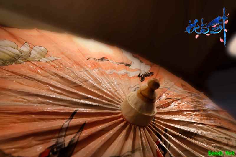 一伞一生缘开缘合,花与剑携非遗油纸伞亮相第七届成都国际非遗节