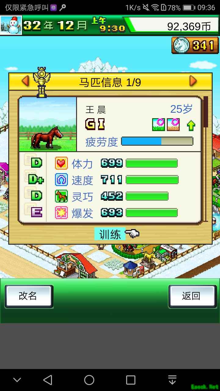 赛马牧场物语：三冠培养与开罗策略