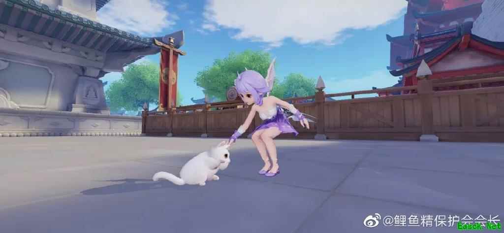 《梦幻西游三维版》测试火热进行中，策划线上圆桌等你参与!