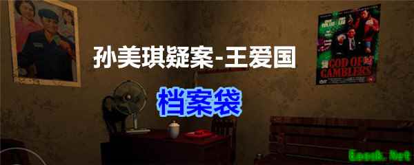 《孙美琪疑案-王爱国》档案袋线索获得