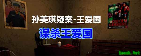 《孙美琪疑案-王爱国》谋杀王爱国线索获得