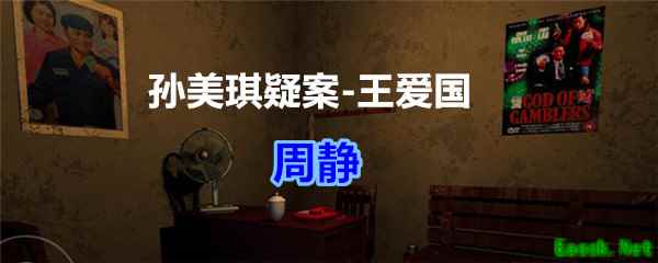 《孙美琪疑案-王爱国》周静线索获得