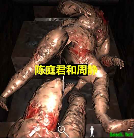 《孙美琪疑案-王爱国》陈庭君和周静线索获得