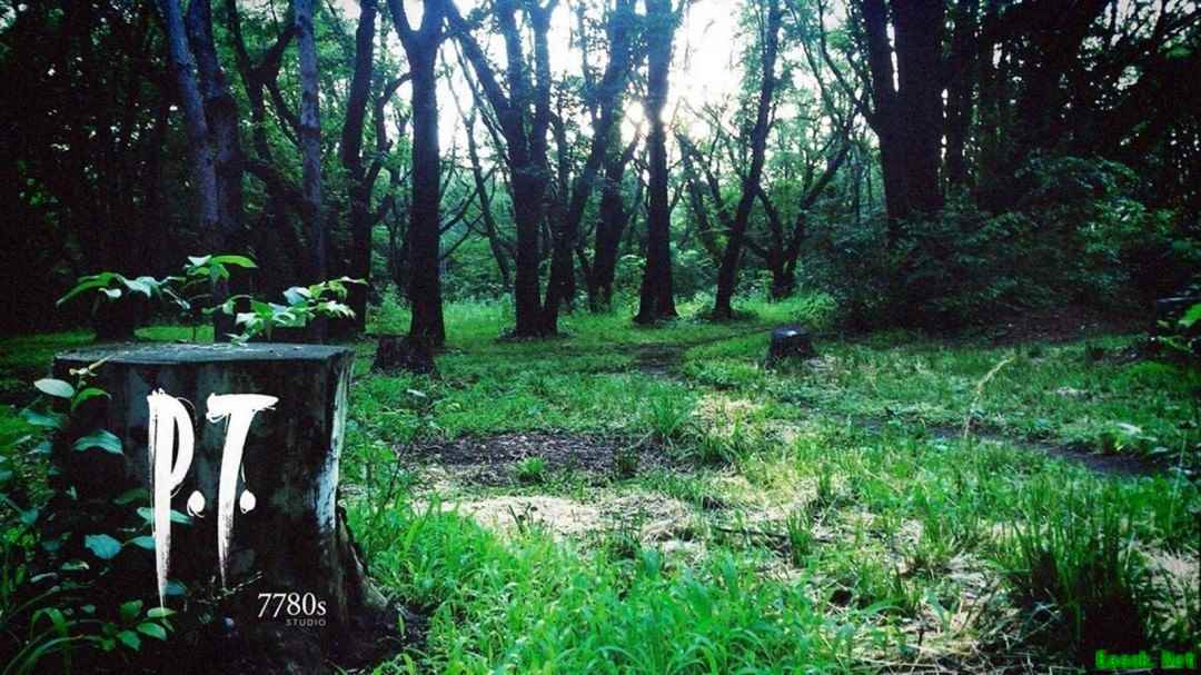 神谷英树谈P.T.遗产与小岛未来恐怖游戏愿景