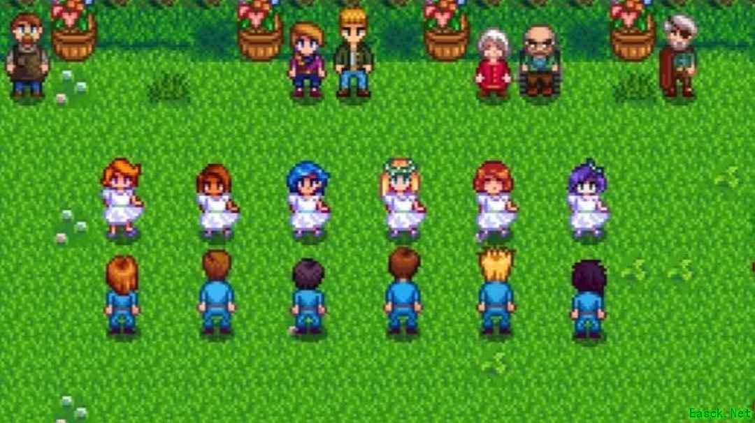 星露谷物语Switch 2版将支持鼠标操作与四人分屏，免费升级引关注