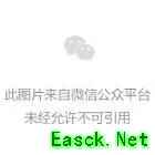 【三角洲行动】新赛季3*3逃课指南！完成任务先人一步！