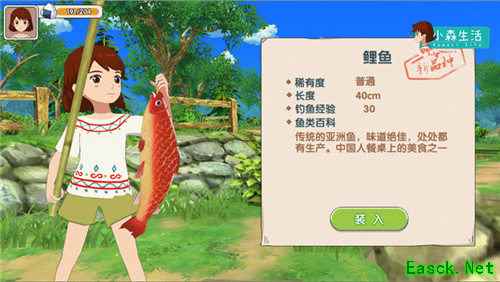 《小森生活》钓鱼玩法揭秘，建造自己的水族馆