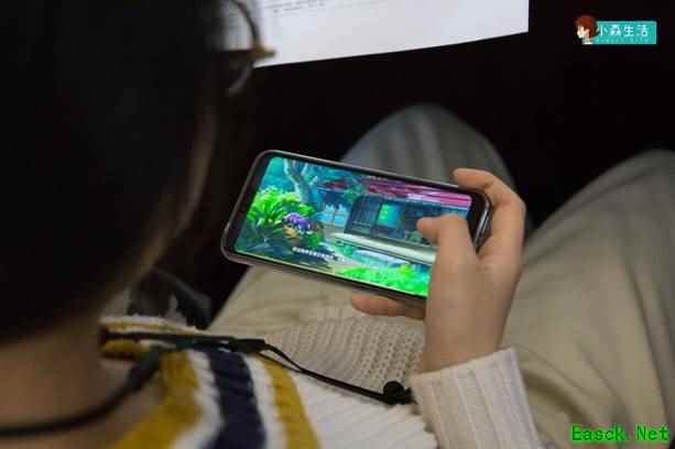 线下试玩会打好好评，吃喝玩乐体验《小森生活》