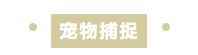 /news/2025/10-03/998673.shtml