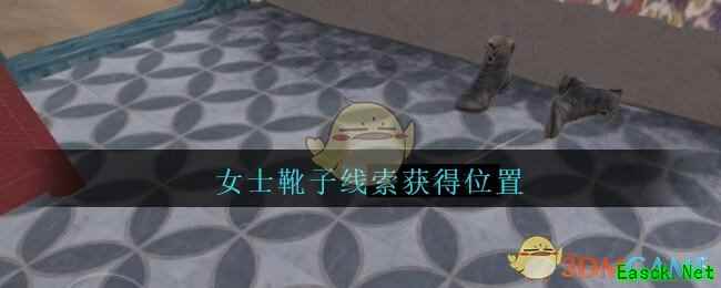 《孙美琪疑案：陈庭君》五级线索——女士靴子