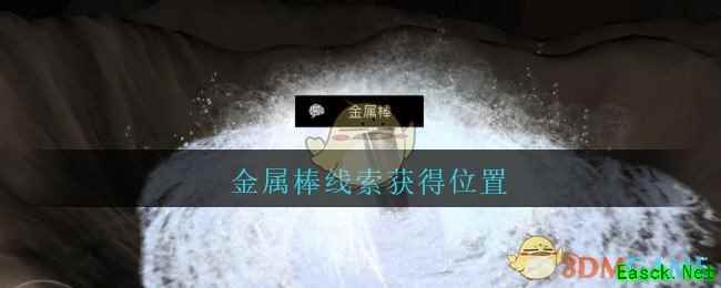 《孙美琪疑案：陈庭君》五级线索——金属棒