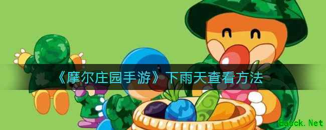 《摩尔庄园手游》下雨天查看方法