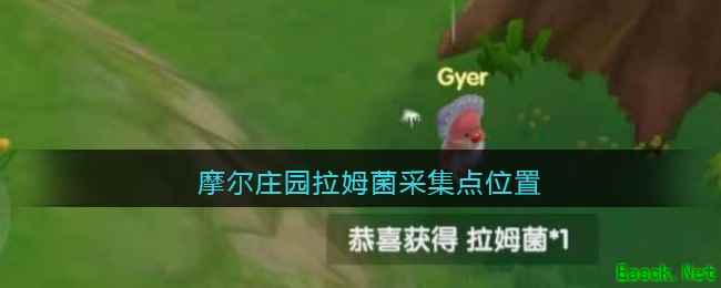 摩尔庄园拉姆菌采集点位置