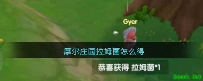 摩尔庄园拉姆菌怎么得