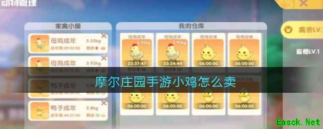 摩尔庄园手游小鸡怎么卖