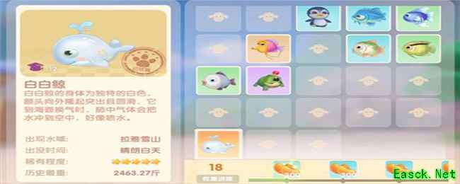 摩尔庄园手游白白鲸几点出没