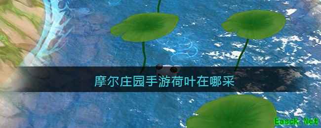 摩尔庄园手游荷叶在哪采