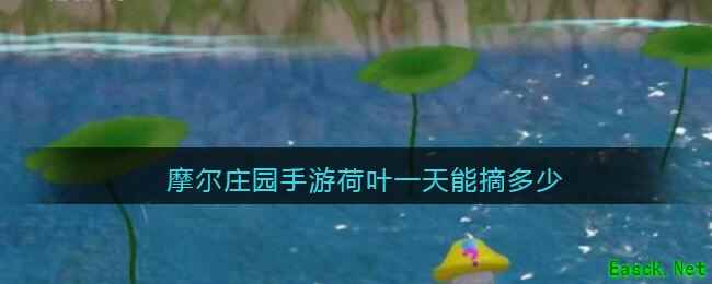 摩尔庄园手游荷叶一天能摘多少
