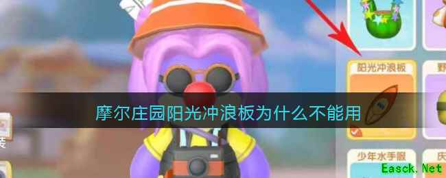 摩尔庄园阳光冲浪板为什么不能用