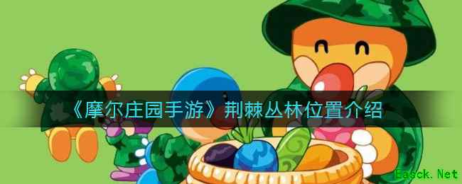 《摩尔庄园手游》荆棘丛林位置介绍