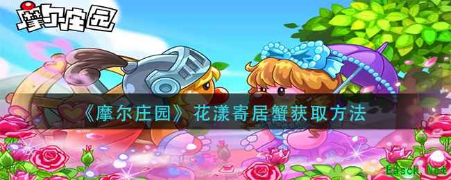 《摩尔庄园》花漾寄居蟹获取方法