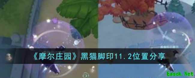 《摩尔庄园》黑猫脚印11.2位置分享