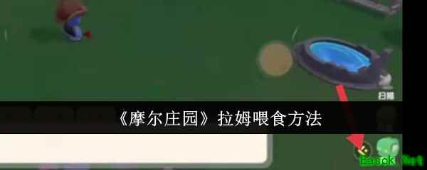 《摩尔庄园》拉姆喂食方法