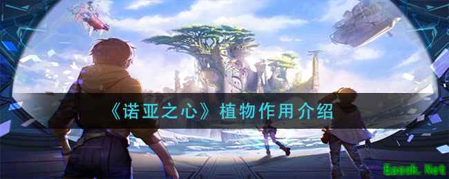 《诺亚之心》植物作用介绍