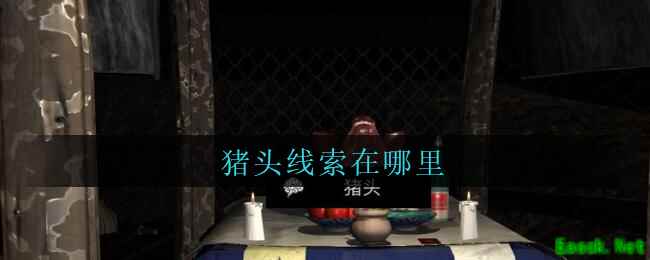 《孙美琪疑案：周芳》五级线索——猪头