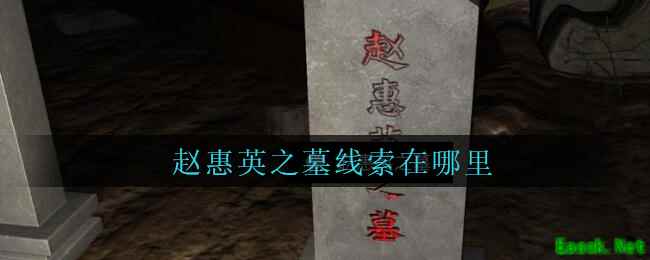 《孙美琪疑案：周芳》五级线索——赵惠英之墓