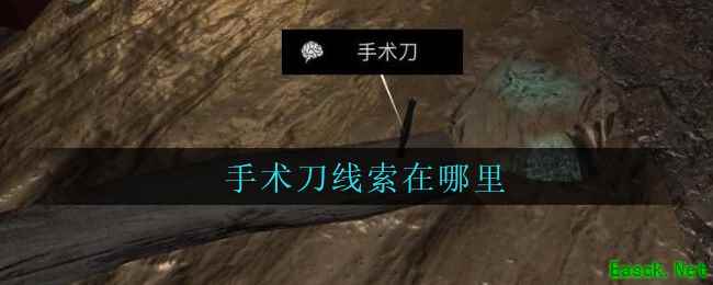 《孙美琪疑案：周芳》五级线索——手术刀