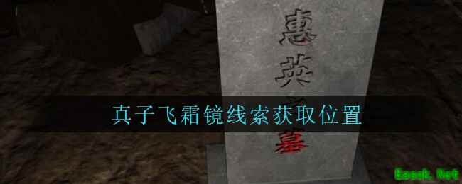 《孙美琪疑案：周芳》四级线索——真子飞霜镜