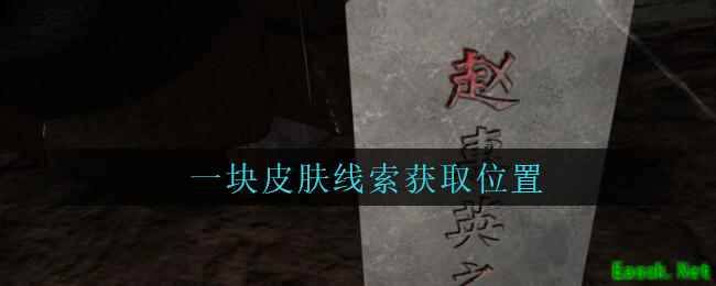 《孙美琪疑案：周芳》四级线索——一块皮肤