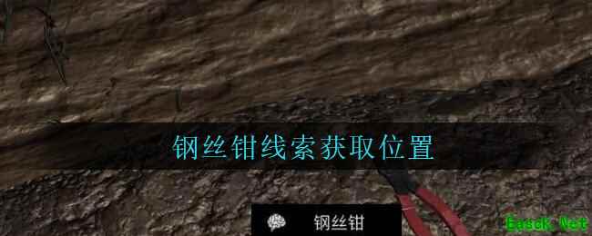 《孙美琪疑案：周芳》五级线索——钢丝钳