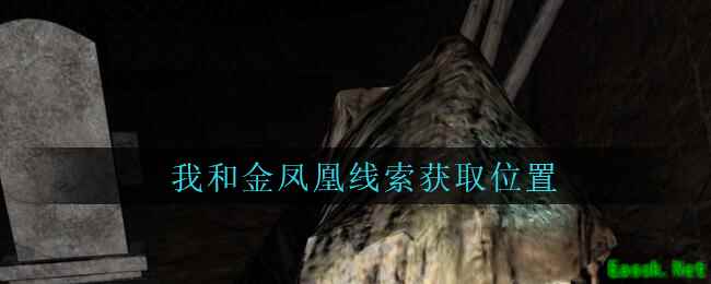 《孙美琪疑案：周芳》三级线索——我和金凤凰