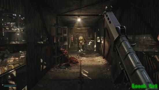 /news/2025/11-06/1022611.shtml