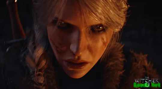 《巫师》原作者：对《巫师4》几乎一无所知 也不会去玩！